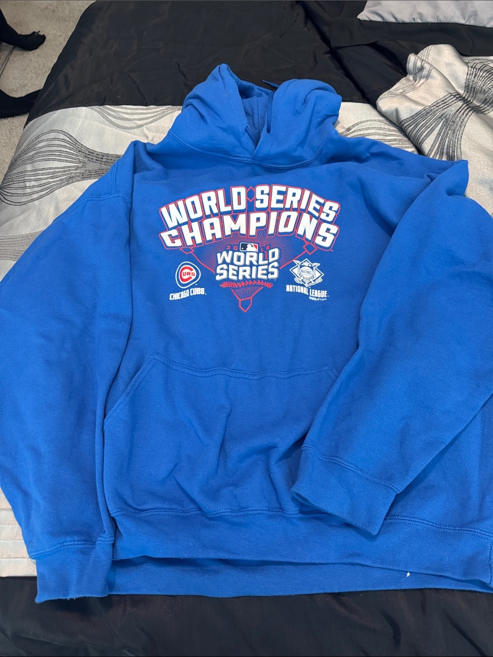 Chicago Cubs World Series Champions Blue Hoodie